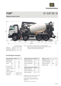 Pumi 21-3.67 CS/Q Fiche Technique FR