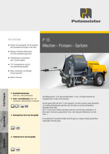 P 13 Prospekt DE